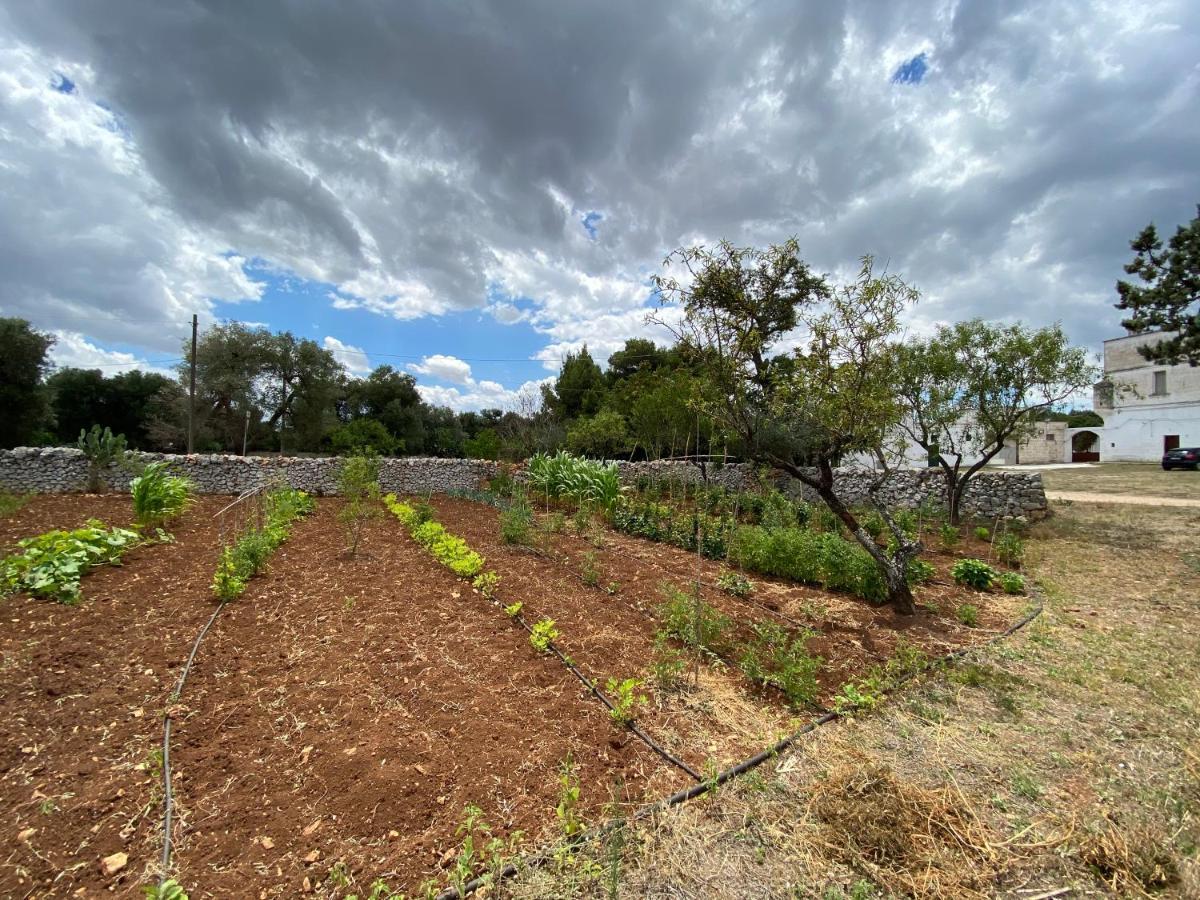 Masseria Cervellera Apartment Челие Месапика Екстериор снимка