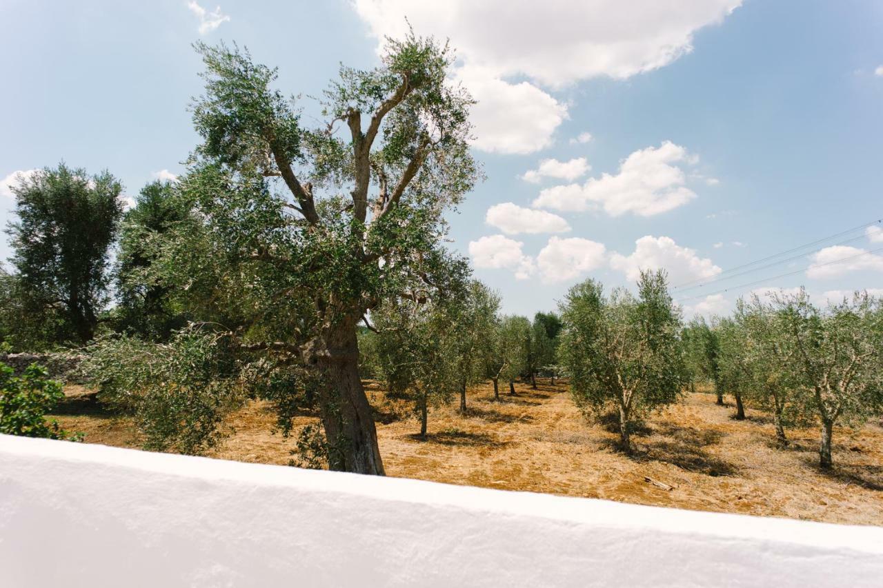 Masseria Cervellera Apartment Челие Месапика Екстериор снимка